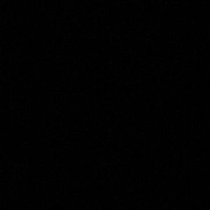 Meet your Posher, Delphine